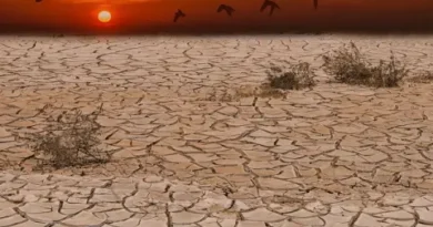 AMOC се забавя рекордно — риск от колапс става реалност