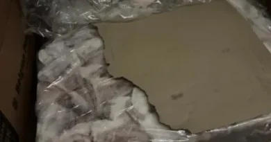 БАБХ откри нередности и унищожи 366 кг месо в склад край Луковит