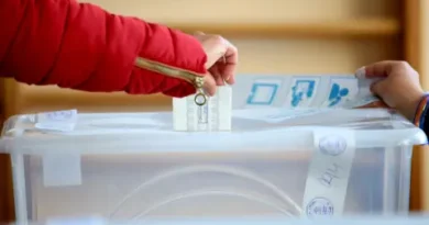 Около 7 500 българи упражниха правото си на глас в Истанбул