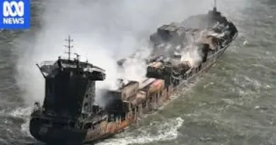 Лондон въздържа действия срещу руски кораби заради страховете от милионни разноски