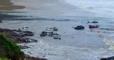 Рекордни порои доведоха до извънредно положение в Уелингтън