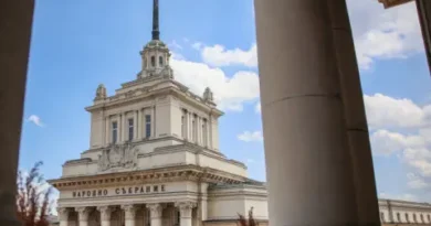 Държавна помощ за 12 партии след изборите: кой и при какви условия