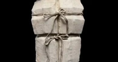 Продават спасителна жилетка от „Титаник“ за 906 000 долара