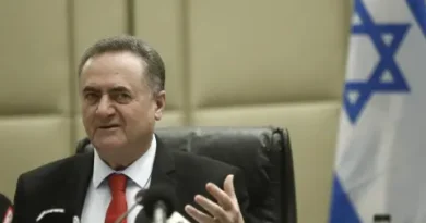 Израел избира военни и дипломатически мерки за обезоръжаване на Хизбула