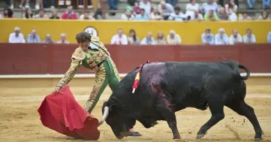 Моранте пострада при корида в Маестранса — сериозна перфорация и операция