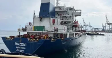 Нефтеното петно в Черно море: доколко е опасно за екологията и хората