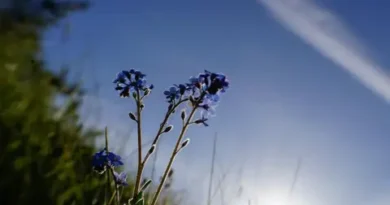 28 април — предимно слънчево, с краткотрайни дъждове в планините