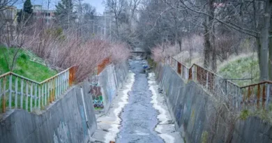 Кметът представи план за преобразяване на Владайска река