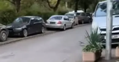 Близо 1 200 нови паркоместа в София — облагородяват междублокови пространства в четири района