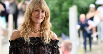 Лора Дърн се присъединява към четвъртия сезон — Майк Уайт създава нов персонаж