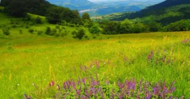 Четвъртък, 30 април: широко разпространени дъждове и по-хладно време