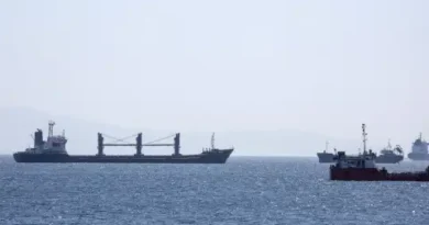 Тел Авив връща кораб с зърно, което Киев определя като отнето от окупираните територии