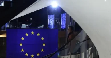 ЕС и Меркосур въвеждат временно спорното търговско споразумение въпреки критиките