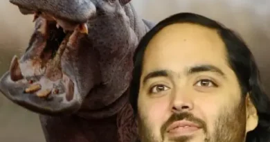 Милиардеров наследник предлага преместване на хипопотамите, оставени от Ескобар