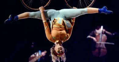 Cirque du Soleil стартира гостуването си в София с представлението Ovo