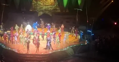 Cirque du Soleil с „OVO“ в София: феерия от акробатика и въображение