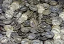 Огромна находка: близо 3 000 викингски сребърни монети край Рена
