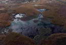 Блатната песен на Драгоман — арт-процес за възстановяване във Венеция