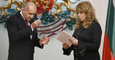Очаквания и съмнения около новия кабинет на Румен Радев