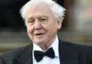 Сто години Дейвид Атънбъро: наследство на любопитство и скромност