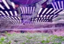 Засилено полицейско присъствие над Осогово след разкритата нарколаборатория