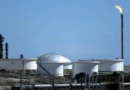 Глобалният хранителен сектор под натиск от конфликти и геополитика