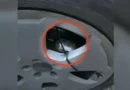 Автомобил с прикрепена бомба в Говедарци — собственост на частна фирма, разследват опит за унищожаване