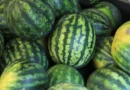 Колко килограма череши и карпузи купува депутат с месечната си заплата