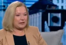 Йорданова: Разделението вдясно отслабва опозицията и усложнява предизвикателствата пред страната