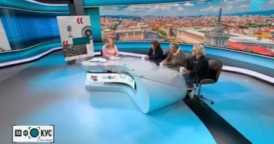 Буруджиева: Радевът и мълчанието му — нужда от реален парламентарен дебат