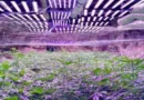 Полиция и жандармерия блокираха Осогово след разкритие на нарколаборатория