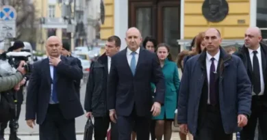 Радев и ‘полезният’ евроскептицизъм: риск или разумна критика?