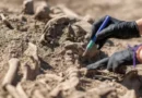 Мраморна глава на Афродита и храмови останки извадени при разкопки в Бени Суеф