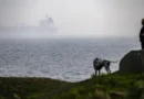 Капитан на подозрителен танкер задържан в шведски териториални води