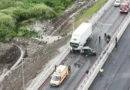 Пет души загинаха при челен сблъсък на Е-79 — жертви от Монтанско