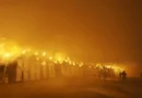 БФС налага тежки санкции на Левски и още клубове след шампионските празненства