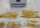 Митническа операция в Капитан Андреево: над 100 000 евро в контрабандно злато