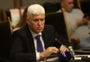 Стоянов уверява: България не е предоставяла морски мини на Украйна