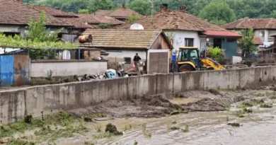 Тича в бедствено положение: жители пробиват стени, за да изведат тинята