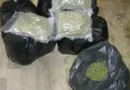 Намериха около 500 г канабис в тайник край детска градина във Враца