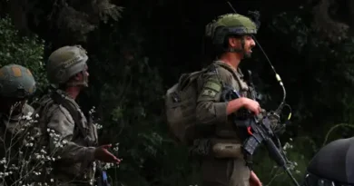 Военните на Израел свалиха два снаряда, прелетели от Ливан