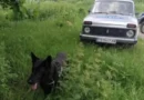 Намериха невредим 75-годишен след тридневно издирване в Родопите