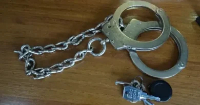 Зад кулисите на властта: корупцията като паралелна система