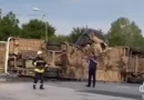 Диана Русинова: Държавата пази джигитите след тежкия инцидент край Челопеч