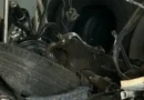 Щети и разследване: автобусът от линия 119 в депото в Малашевци