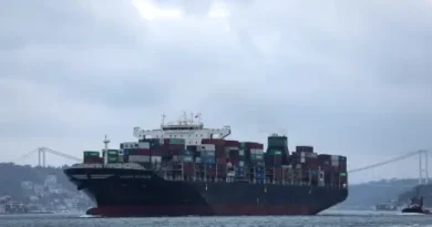 Атака с дронове: два товарни кораба засегнати в Черно море