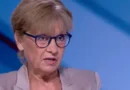 Виолета Комитова: Баба Алино е незаконно — събаряне е единственият изход