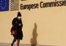 Да подготвим Европа: обществената страна на разширяването