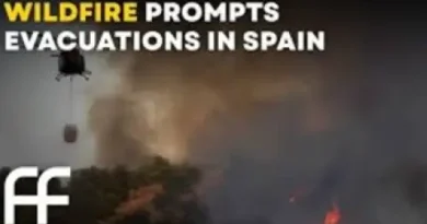 Армията подпомага гасенето: пет самолета и екипи действат край Толедо