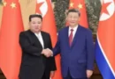 Си Дзинпин заминава за Северна Корея на 8–9 юни